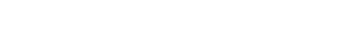 nobrandburger